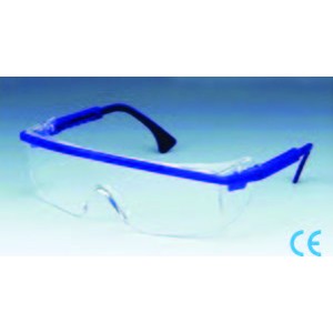 Safety Glass Goggle with Anti-Fog